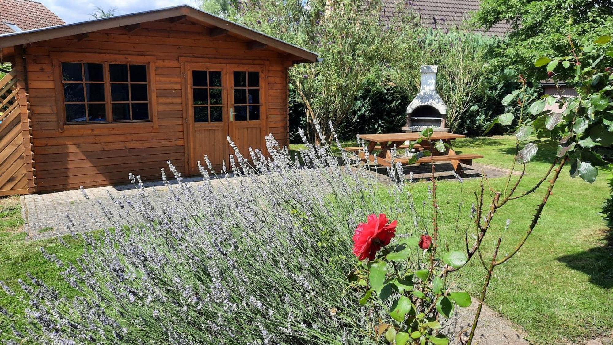 Ferienhaus Sasse Ferienwohnungen Mit Garten & Grill Molschow المظهر الخارجي الصورة