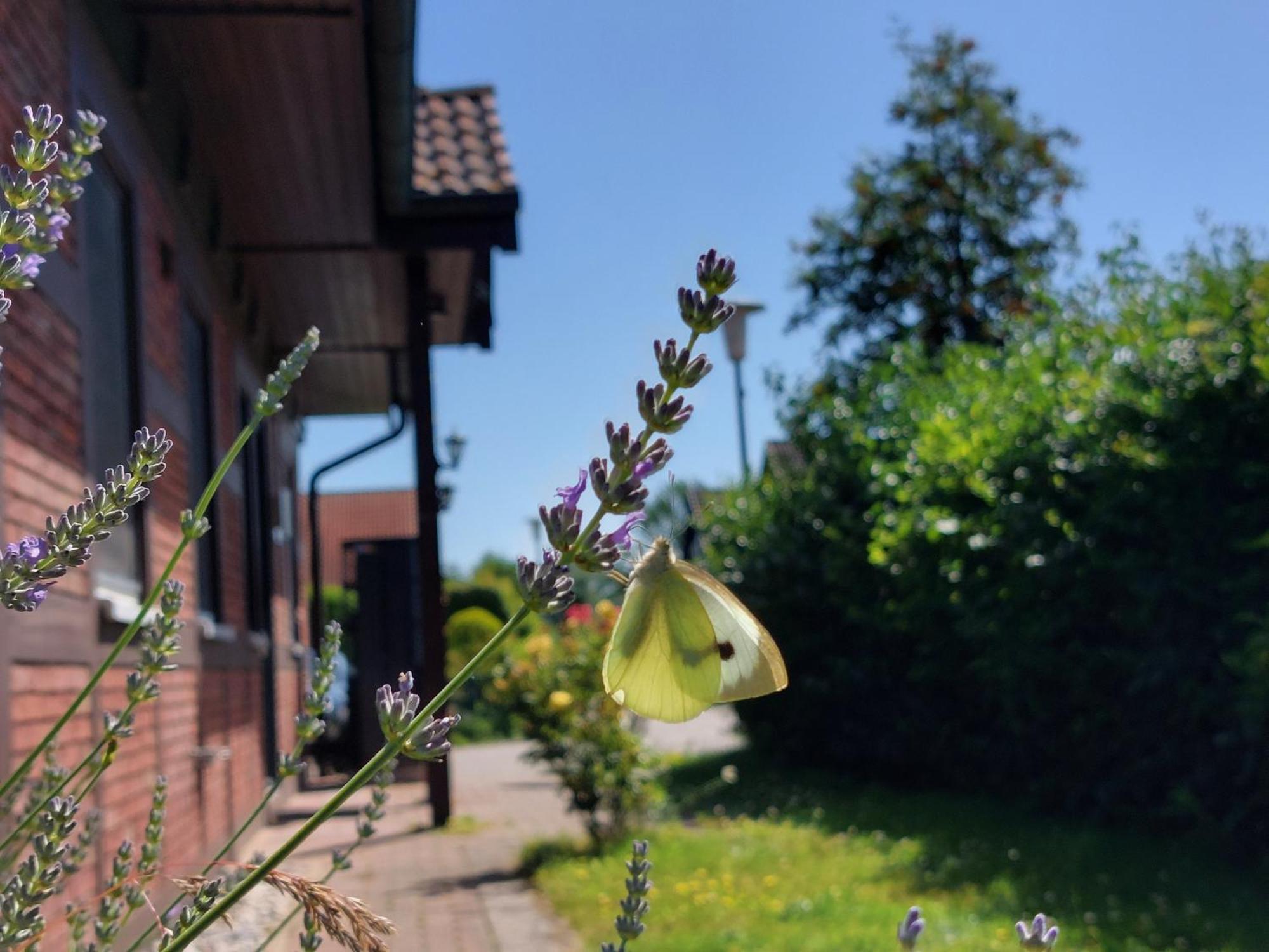 Ferienhaus Sasse Ferienwohnungen Mit Garten & Grill Molschow المظهر الخارجي الصورة